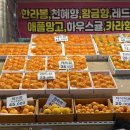 우정 농수산 이미지