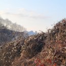 마이 휴 스테이 이미지