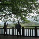 한반도면-2 이미지