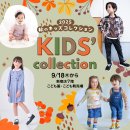 실전 바둑 | 무료바둑게임하기 쉽게 하는 방법 + 설치 없이 바로 되는 BEST 바둑게임 총정리(실사용 후기 포함)