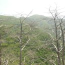 대대2리 마을회관 이미지