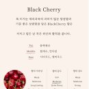 선물하기 딱 좋은 디퓨져 패키지 제작 | 차량용품 선물 추천ㅣbts뷔방향제 청담프라그랑스 차량용 방향제 사용후기