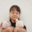 아이리더유치원 이미지