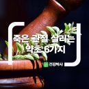 죽은 관절을 살리는 약초 6가지 이미지