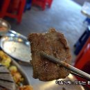 장수갈매기 이미지