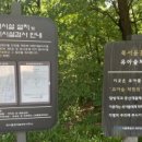 북서울꿈의숲 유아숲체험원 이미지