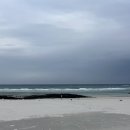 구좌체육공원 체육관 이미지