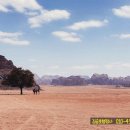 행정사김승호사무소 이미지