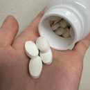 한국CD | 뉴욕컷팅제 제로바디 골드컷 내돈내산 알파CD(알파씨디)로 복부비만 다이어트 1달 후기