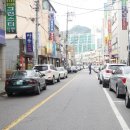 초원동물약품 네이버블로그