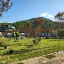 신 봉평메밀 이미지