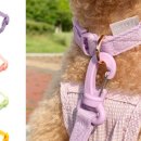 펫을 부탁해 이미지