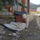 도척면-2 이미지