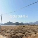 명진부동산중개 이미지