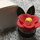 센트레스트