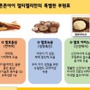 아이#멀티아이스크림 이미지