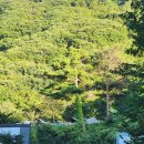 자연밸리 관광농원 이미지