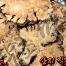 천궁마루 이미지