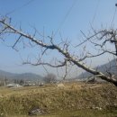 선희농장 이미지