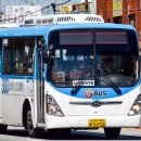 진위운수 이미지