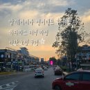 말레이시아 영어캠프 후 뭐할까? | 하타마스 저녁 마실 | 야간 노점 구경