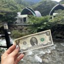 둥지펜션 야영장 이미지