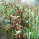 금곡2리 이미지