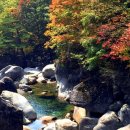 편백흙집세상 이미지