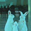 개인택시 진주시지부 | 지방자치 균형성장발전을 위한 원주·아산·구미·진주 공동 포럼 성료 원주시 보도자료 2025. 12. 23.(화)