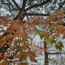 가을모텔 이미지