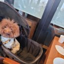 풍원장 미역국정찬 이미지