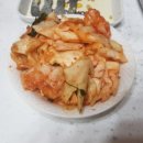 지리산자연인