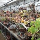 도강농장 이미지