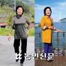 허리 통증, 시술로 싹~ 디스크 가고 디스코 추네 이미지