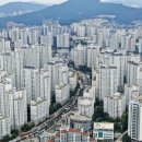 부리나케 이미지