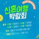 청담여행사