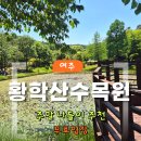 [경기 여주] 무료입장 무료주차 가볼만한곳 황학산수목원｜피크닉잔디광장 후기