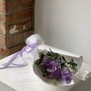 세느파크 이미지