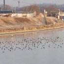 오정대공원 이미지