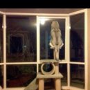 낄낄고양이 이미지