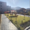 남양주나무요양병원 | 남양주요양원 고민될 때, 운수사랑 요양원 직접 둘러보고 느낀 점