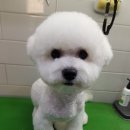 그냥가개? 전주에코시티점 이미지