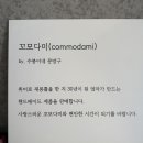 꼬모다미 이미지