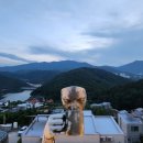 하모니펜션 이미지