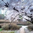 고 서장원 추모 이미지