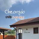 스테이반시 이미지