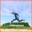 5월 군산 가볼만한곳: 인생샷 보장! 옥녀교차로 메타세쿼이아 숲 완벽 가이드 (ft.보리밭 포토존)