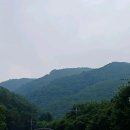 유명산 여름산행 #1 이미지