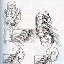 Personal Training GYM 이미지