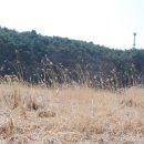 평창 지동봉가옥 이미지